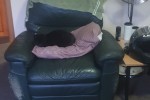 2 bedroom apartment move