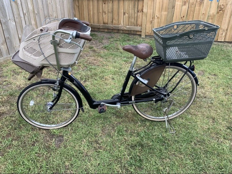 Adult Bicycle