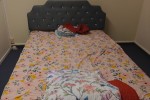 Bed, cot, bags,boxes. fridge