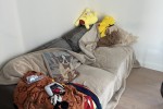 Double Bed, Couch, Office Desk, Tv Stand, Moving Box, Office Chair, Co...