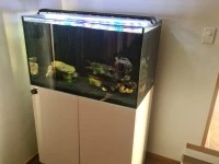 3 bedroom house move