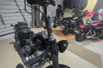 Motorcycle Harley davidson Fatboy Lo