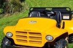 Cub Cadet 2006