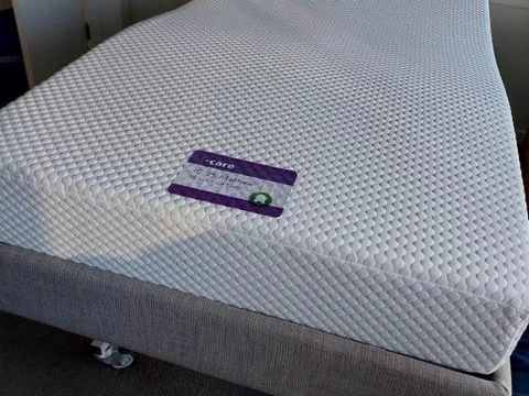 Electric single honecare bed