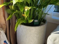 2 bedroom apartment move