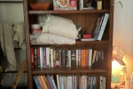 2 xbook shelf, 2 x chest of drawers, 1x glass cabinet