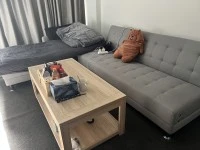 1 Double bed And Double mattress, 1 Sofa bed, 1 coffee table, 3 tier w...