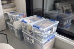 Box small (3), Table trestle, Trestle legs, Boxes (2)
