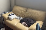 2 couches, 2 couches, King bed, TV, Random boxes, small, x8