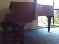 Walter Gulbranson piano
