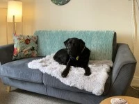 Sofa - Small Two Seater
