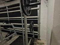 Smith machine/leg squat