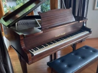 Collard and collard piano