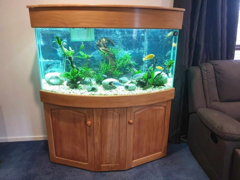 Fish Aquarium 325-350L, Rimu base