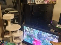 2 bedroom apartment move