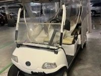 Golf cart electric
