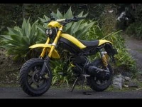 Motorcycle Sazuki Adly rt 50