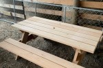 Macrocarpa picnic table