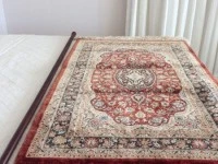 Hand Knotted Pure Silk Rug