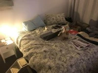 3 bedroom house move
