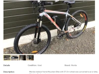 E bike