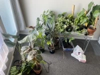 Double bed, TV 55 inches, Desk, Chair, Banana box (6), Guitar, Pots an...