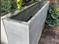 Large concrete pot plant