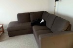 Couch, Drawers, Shelf