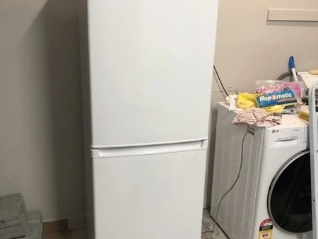 Haier Fridge Freezer 230L