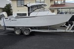 Trailer boat