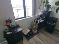 2 bedroom apartment move