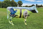 Cows in the Park - Anne McDonald