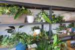 Office move