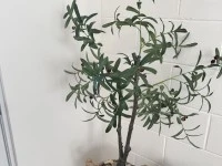 2 bedroom apartment move