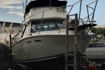 Motor boat Sea Ray