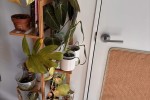 2 bedroom house move
