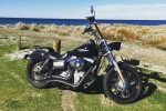 Motorcycle Harley Davidson Street bob