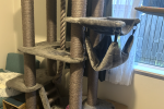 1 bedroom house move