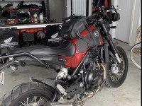 Motorcycle Benelli Leoncino