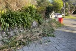 Bamboo cuts