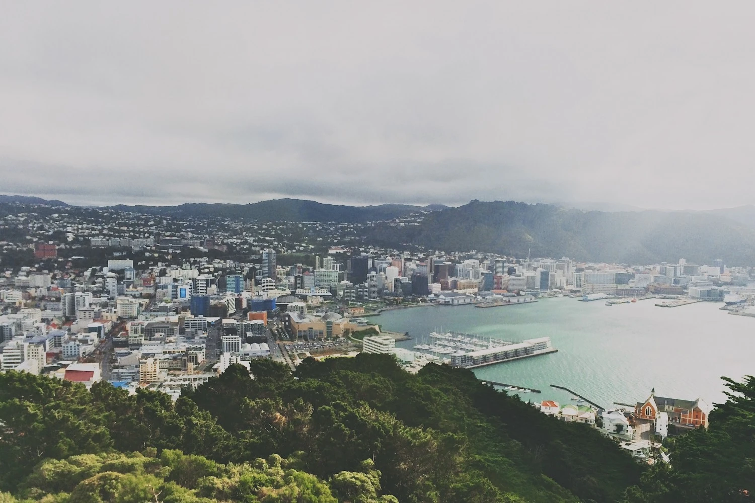 Pros and Cons of Moving to Wellington