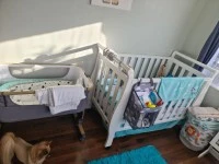 3 bedroom house move