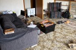 4+ bedroom house move