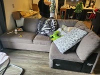 4+ bedroom house move