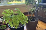 1 bedroom apartment move