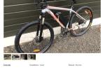 E bike