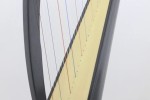 Harp - celtic harp