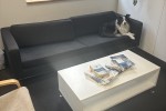 Office move