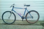 Push bike