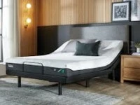 Electric Queen Size Bed